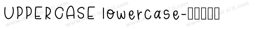 UPPERCASE lowercase字体转换